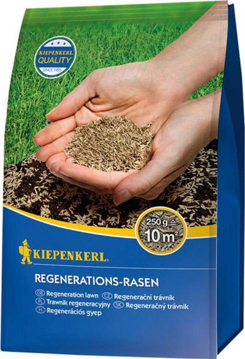 Actual product image Kiepenkerl Kiep. Regeneration turf