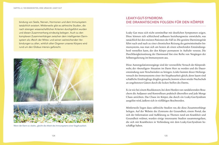 Produktbild Das hilft bei Leaky Gut - Wie ein durchlässiger Darm uns krank macht und was wir dagegen tun (Deutsch, Claus Muss, Götz Nowak, Heike Bueß-Kovács, 2019)
