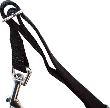 Produktbild Trixie Auto-Geschirr (XS, Hund, Allgemein)