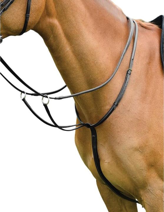 Produktbild Kincade Ringmartingal Classic Unifarben Leder