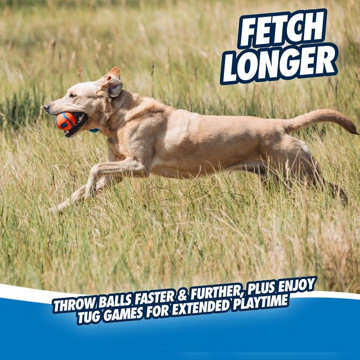 Immagine prodotto Chuckit! ChuckIt Ultra Tug piłka dla psa średnia (Gioco da masticare per cani)