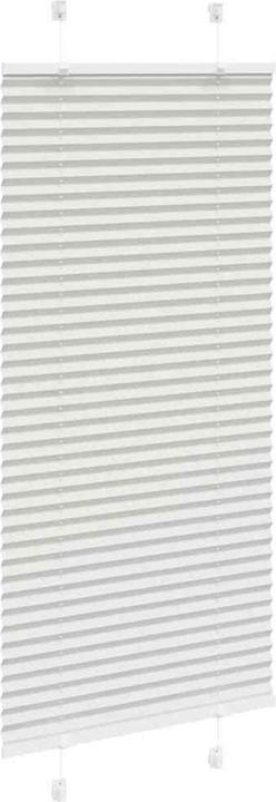 Produktbild vidaXL Plissee (60 x 100 cm)