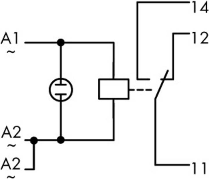 Actual product image Wago Industrial relay relay module