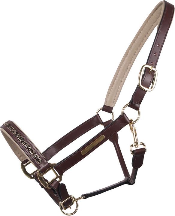 Qhp Leather halter Lupine