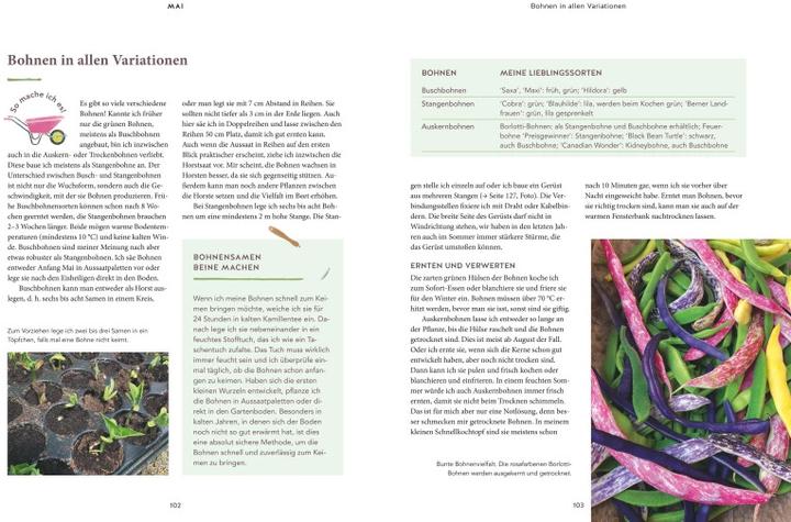 Actual product image 12 Monate Gemüse ernten (German, 2022)