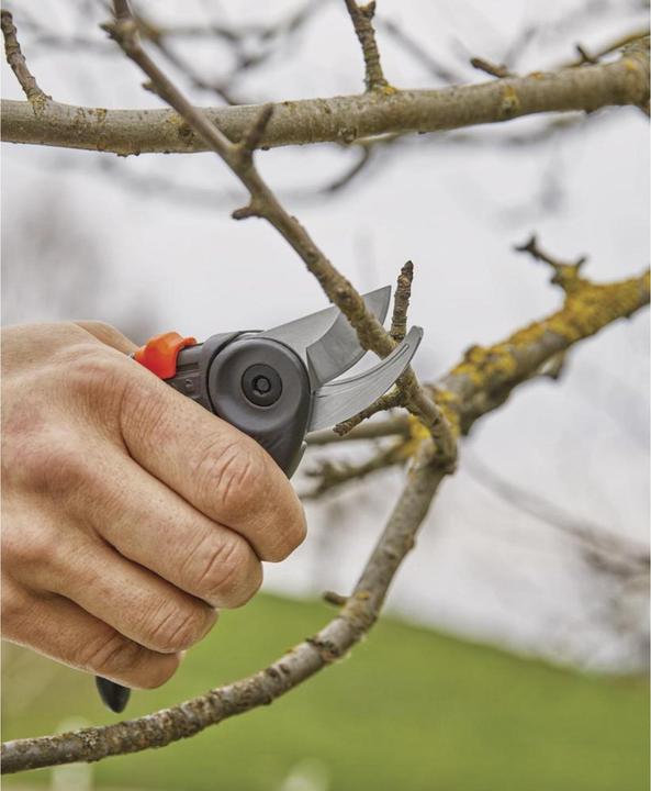 Actual product image Gardena ExpertCut secateurs