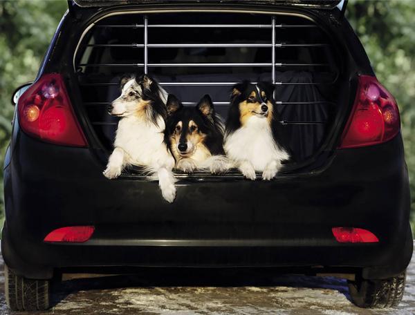 Actual product image Nobby Car safety gate (Dog)