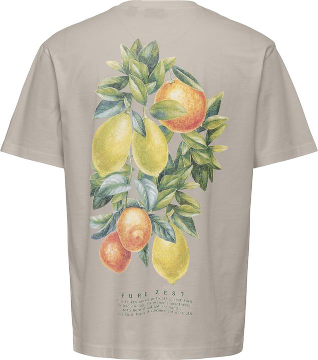 Produktbild Only & Sons Onsfred Life Rlx Ss Print Tee Noos (L)