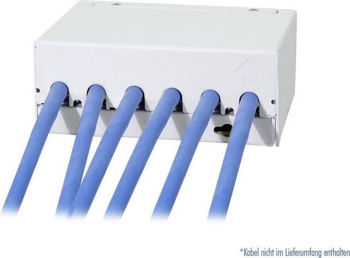 Actual product image LogiLink Patch Panel 6 Port mit 6 Cat.6A Keystone Modulen