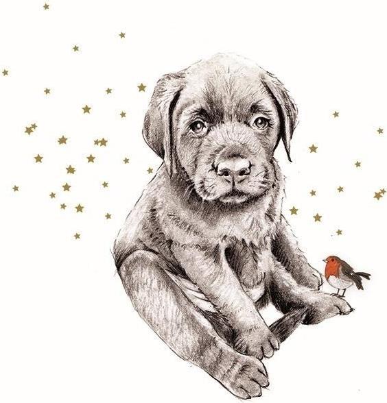 Clear Creations Swarovski quadratische Karte Hund und Vogel