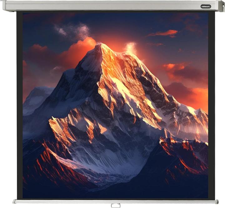 Image du produit Celexon Rollo Professional (112", 1:1)