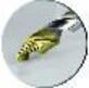 Produktbild Exact Spiralbohrer StepTip Technologie HSS TIN TIP Ø1.0-13.0mm 25-Stk (1.0-13.0 mm)