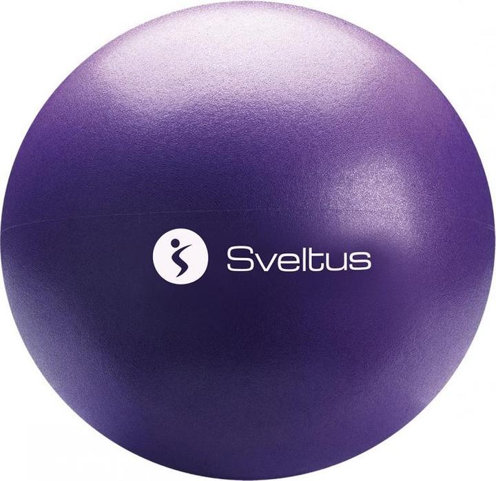 Actual product image Sveltus educational ball (25 cm)