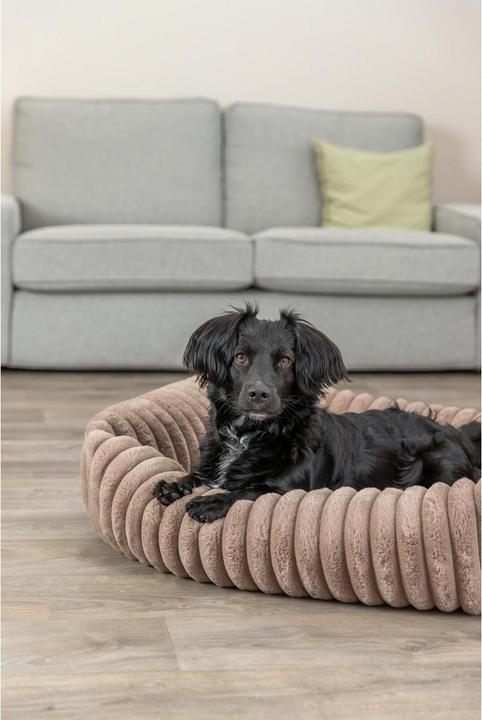 Actual product image Trixie Lonni (Dog)