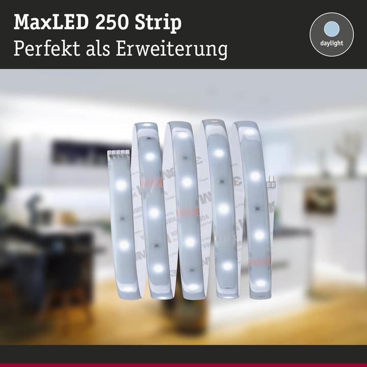 Actual product image Paulmann MaxLED 250 Stripe (Daylight, 100 cm, Indoor)