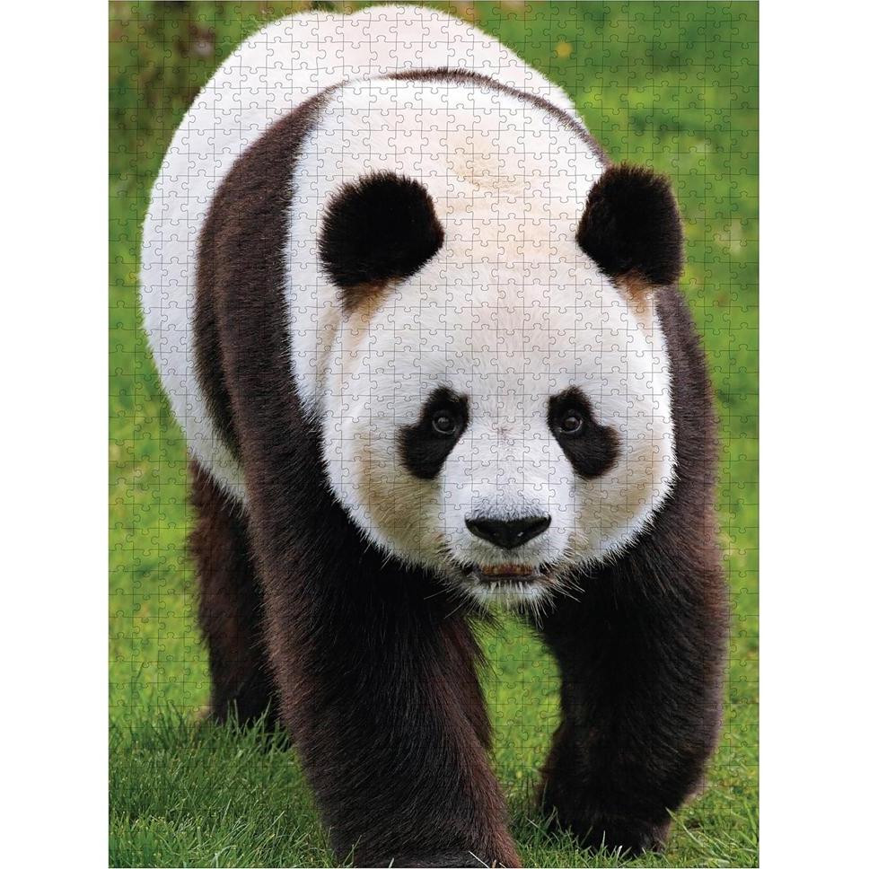 Jensen Pandas 1000 Teile (1000 Teile)