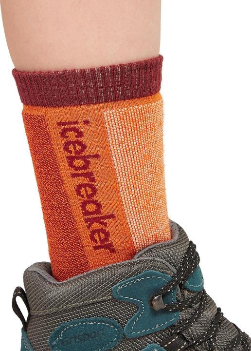 Immagine prodotto Icebreaker Bambini Merino Ski+ Medium OTC (27 - 29)
