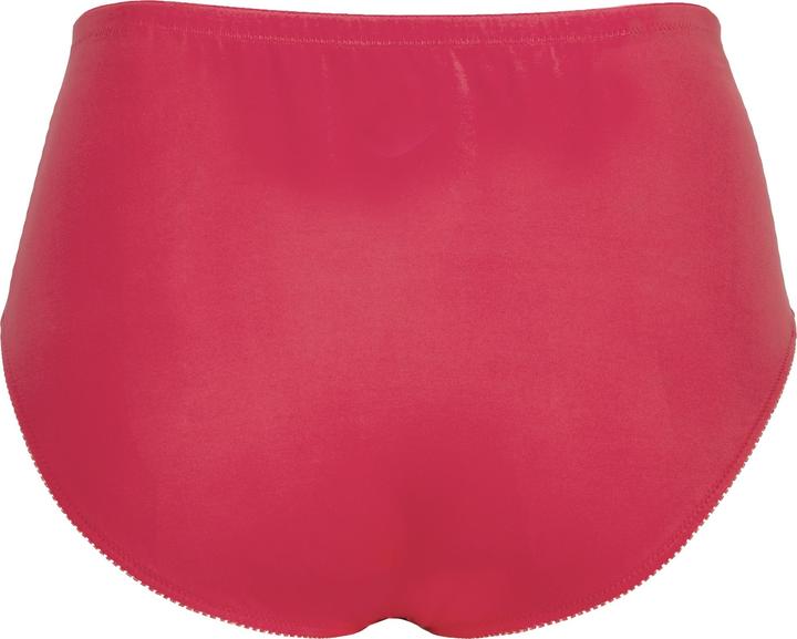 Immagine prodotto Ulla Popken Slip midi in microfibra con pistagna di raso (60)