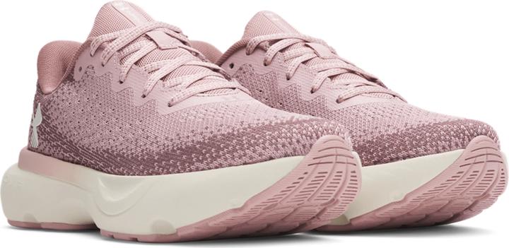 Produktbild Under Armour W Infinite (41)