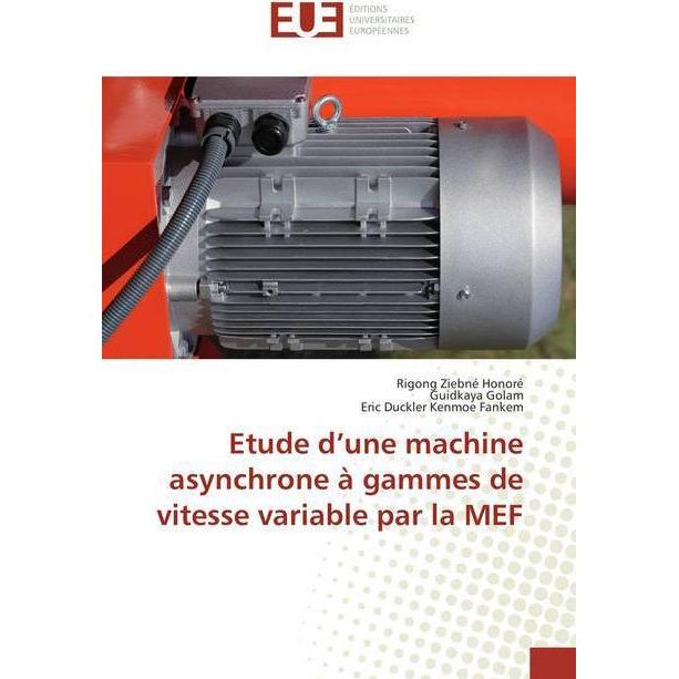 Etude d'une machine asynchrone à gammes de vitesse variable par la MEF, Fachbücher