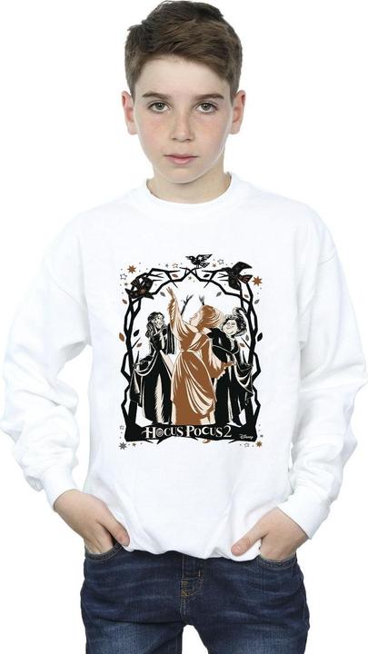 Produktbild Disney Hocus Pocus Birds Sweatshirt Jungen (152, 158)