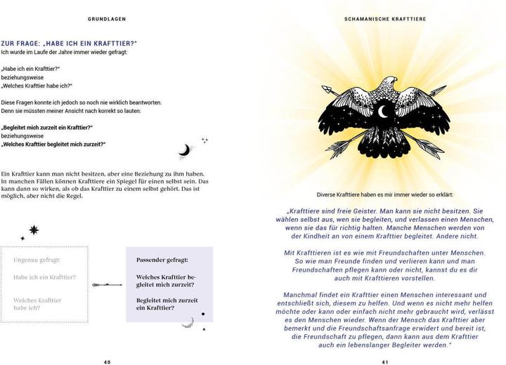 Produktbild Praxisbuch Schamanische Krafttiere – Entdecke deine Seelenbegleiter (Deutsch, Benjamin Maier, 2022)