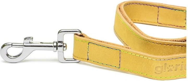 Produktbild Gloria Hundeleine Oasis 3 x 60 cm Gelb (Hund, Hundesport)