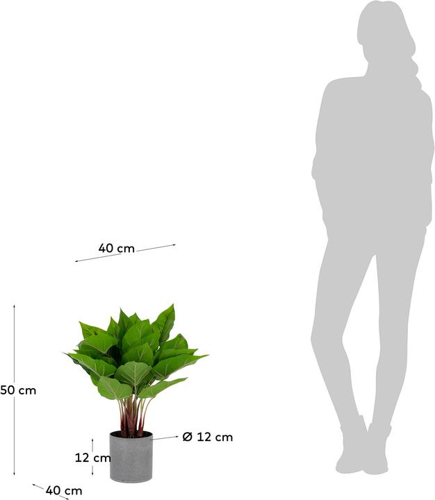 Produktbild Kave Home Anthurium (50 cm)