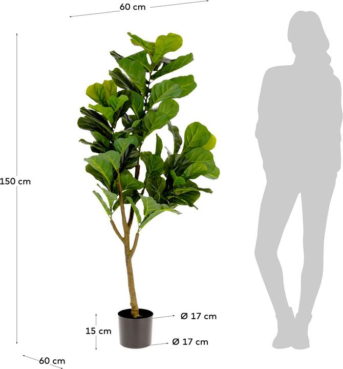 Image du produit Kave Home Ficus (150 cm)