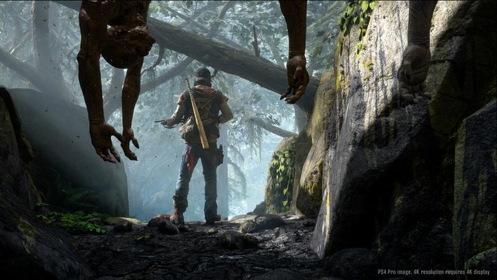 Actual product image Sony Days Gone (PS4, DE)
