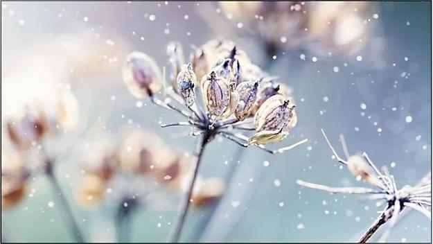 Image du produit Samsung 46" VM46B-U 500NITS 24 (1920 x 1080 pixels, 46")