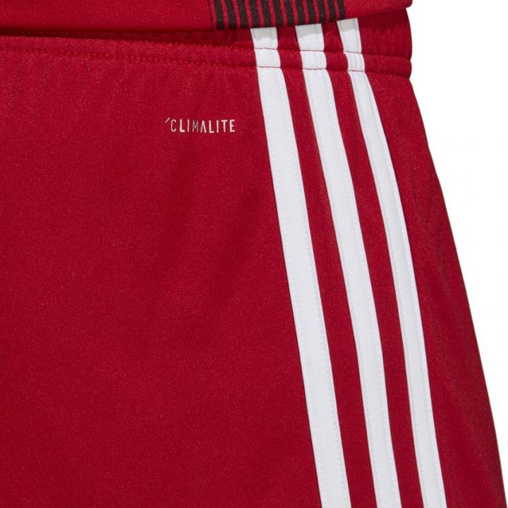 Produktbild adidas Tastigo 19 Shorts