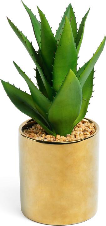 Image du produit Kave Home Agave (11 cm)
