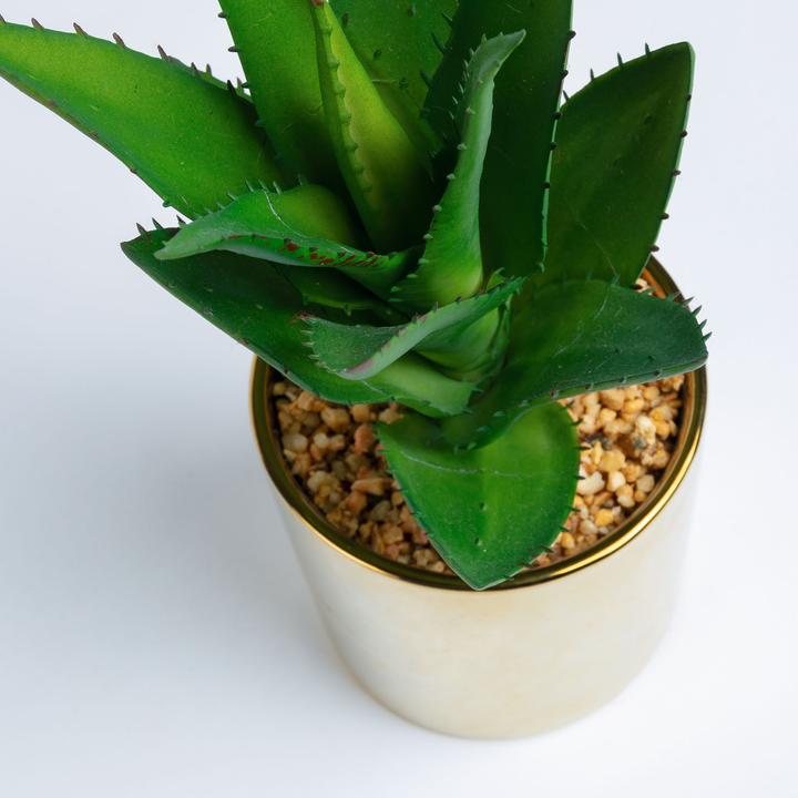 Image du produit Kave Home Agave (11 cm)