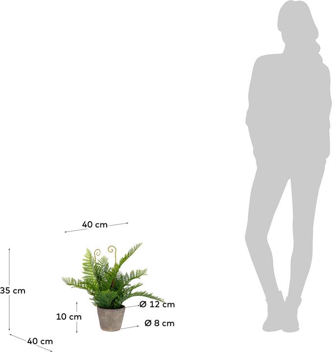 Image du produit Kave Home Filicopsida (35 cm)