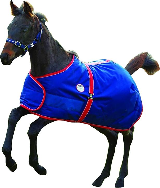 Produktbild Weatherbeeta 1200d Fohlen Standard Hals Pferdedecke (65 cm)