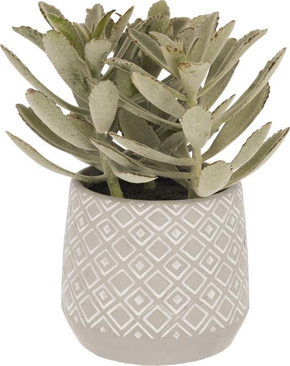 Kave Home Kalanchoe (23 cm)