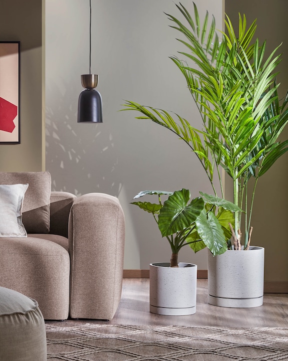 Immagine prodotto Kave Home Palmera (180 cm)