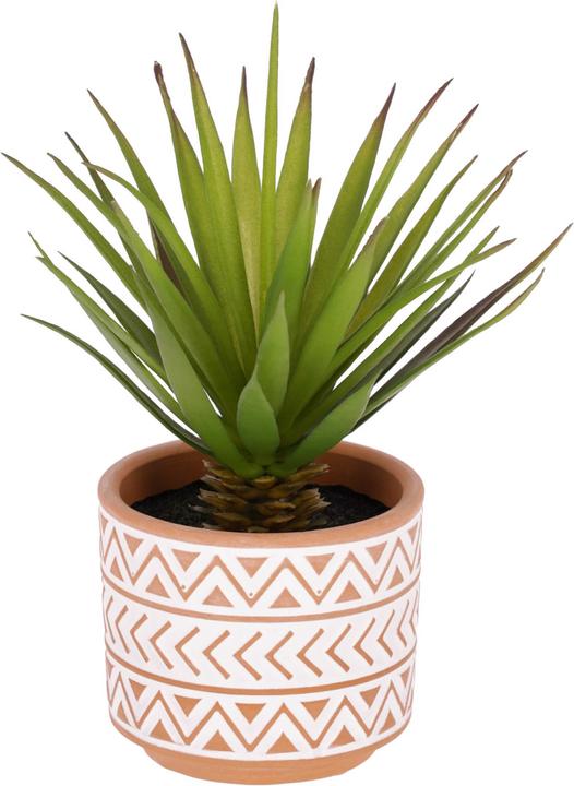 Kave Home Palmera (13 cm)