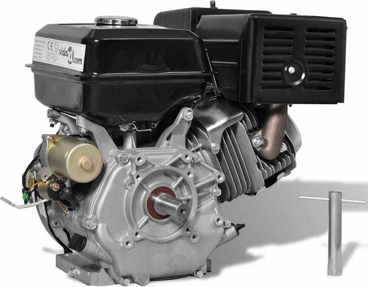 Actual product image vidaXL Pazia (11000 W, 6.50 l)