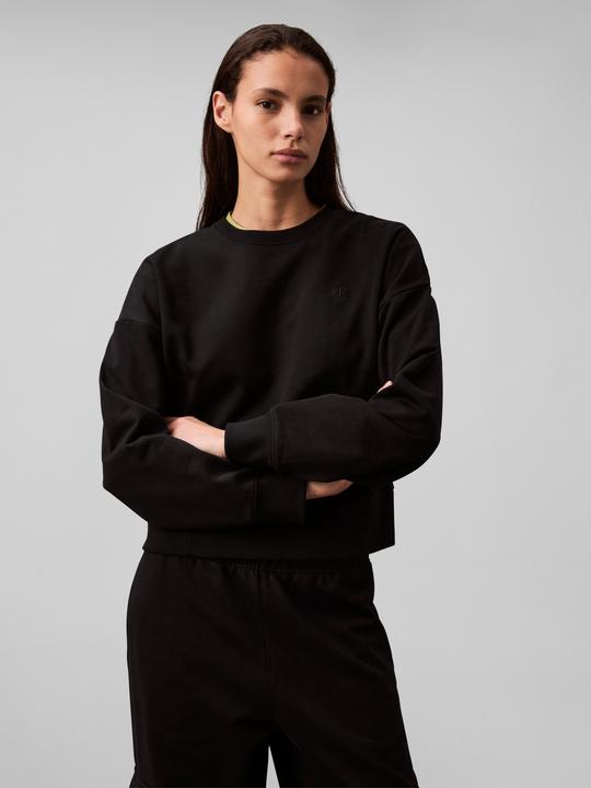 Produktbild Calvin Klein Jeans Ls Archive Logo French Terry Rlx (S)