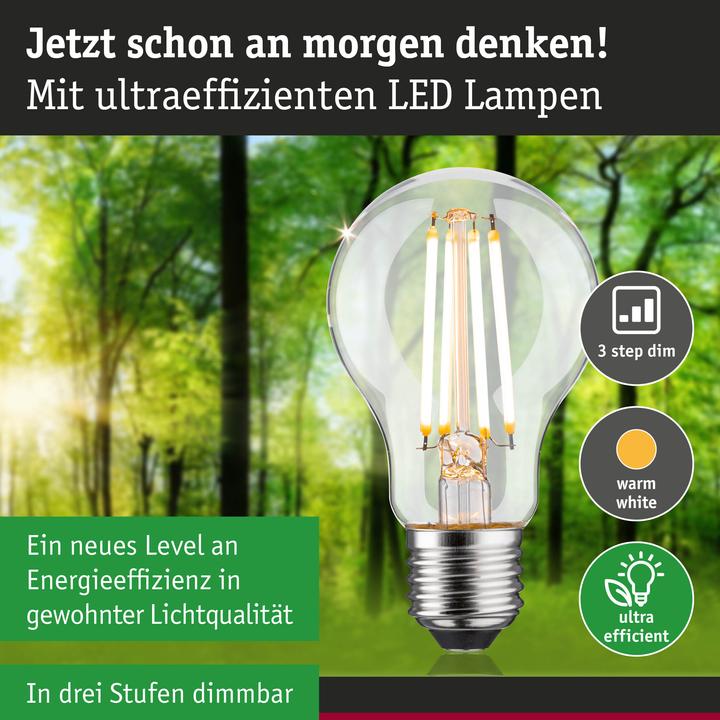 Produktbild Paulmann AGL Eco-Line (E27, 5.70 W, 1055 lm, 1 x, B)