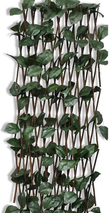 Image du produit vidaXL Zaun