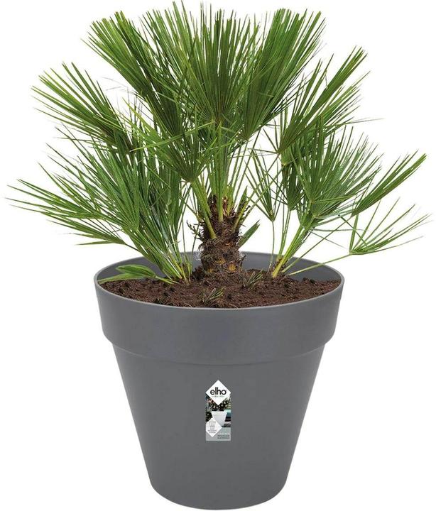 Produktbild Elho Loft Urban (58 x 54 cm)