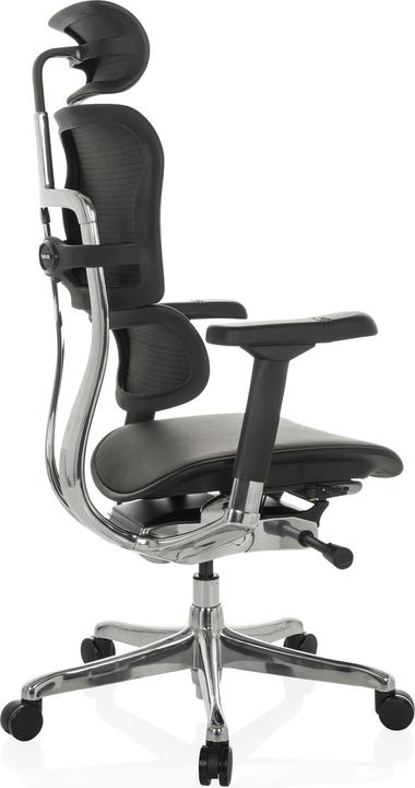 Actual product image Hjh Office Ergohuman Gen2 (46 - 56 cm)