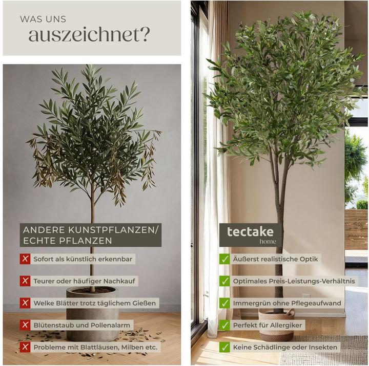 Image du produit tectake Olivier Oleand (210 cm)