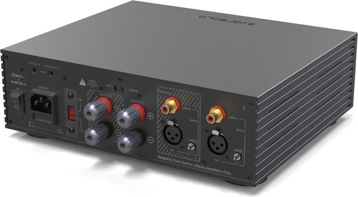 Actual product image Eversolo AMP-F2 (Power amplifier)