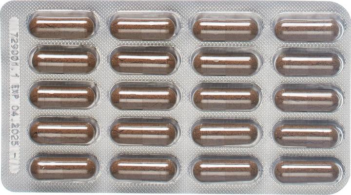 Image du produit Padma Cogniben (60 pièce(s), Capsules, 52 g)