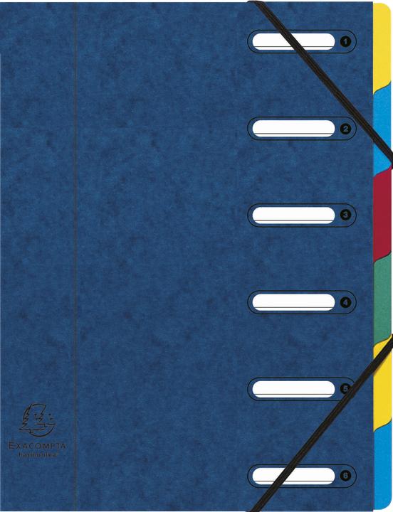 Produktbild Exacompta HARMONIKA - Ordnungsmappen A4 (A4, 1x)