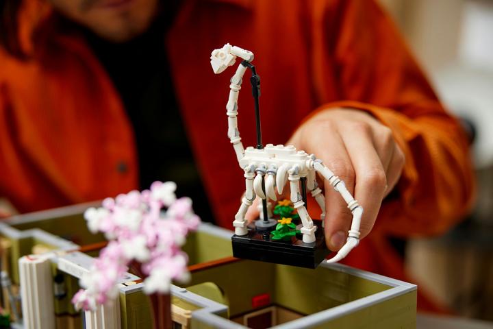 Productafbeelding LEGO Natuurhistorisch Museum (10326, LEGO Icons)